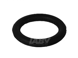 ANILLO GOMA PERNO ELASTICO TR SCANIA 112/113/124/PGR